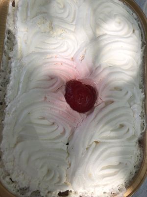 Tree Leches  at Parlour Vegan Bakery in Boca Raton