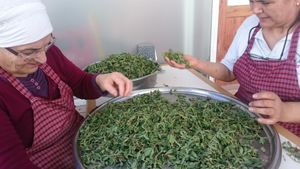 Madımak natural vegetables at Meryem Ana Manti ve Gozleme Evi in Marmaris