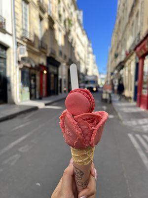 rose shaped strawberry ice cream (macaron not vegan)  at Amorino - L'ile Saint Louis  in Paris