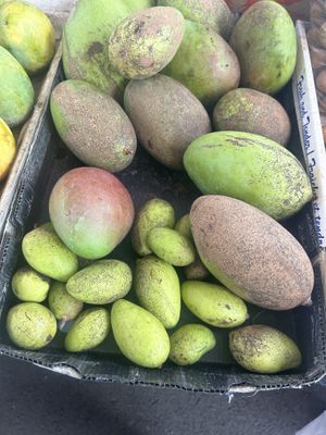  Mango at Hilo Farmer's Market in Hilo