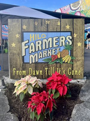 Hilo Farmer’s Market #Veganuary at Hilo Farmer's Market in Hilo