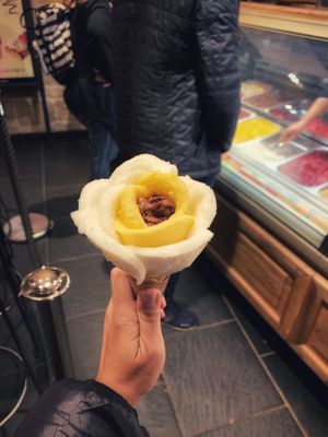 Beautifully shaped and yummy at Amorino - Gaité in Paris