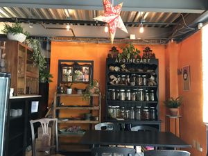 Cozy, clean and VEGAN!!  at Elixir in Great Barrington