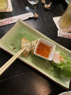 dumplins  at Viet Pho in Frankfurt