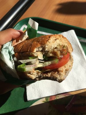 Vegan at Subway in Amritsar