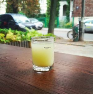 ginger - lemon shot at Raw Nest in Krakow