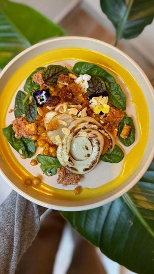   at Raw Nest in Krakow