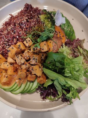  at Raw Nest in Krakow