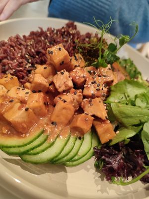  at Raw Nest in Krakow