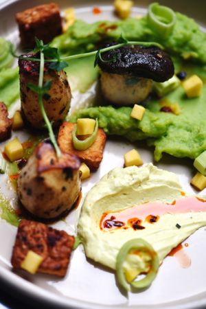 SHROOM CRUSH at Raw Nest in Krakow