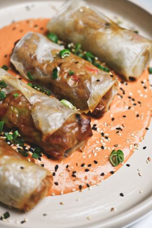 NO MEAT ROLLS at Raw Nest in Krakow