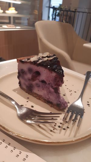 Basque cheesecake at Raw Nest in Krakow