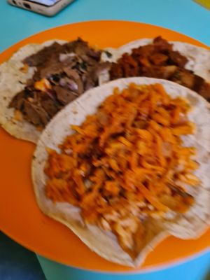 Tacos1 at El Rincon de Tacotlan in Puebla