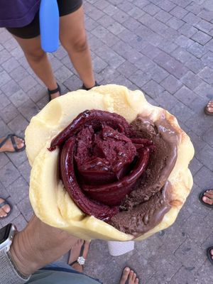 Classic   at Amorino in Avignon