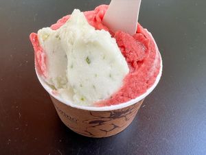 Blood orange, basil and cherry sorbet    at Amorino in La Rochelle