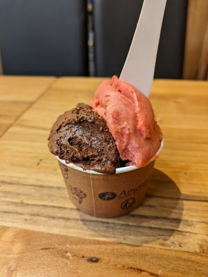 Chocolate and strawberry sorbets at Amorino in Nancy