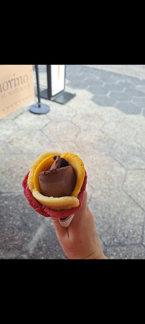 Chocolate, passion fruit, mixed exotic fruits and raspberry at Amorino in Nice