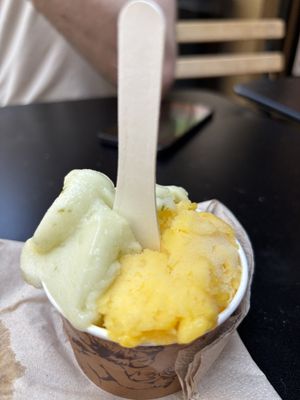 Lime basil and mandarin were the standout flavours from what we tried!  at Amorino in Nice