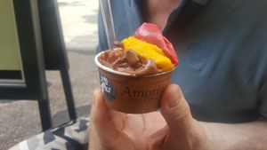 Vegan sorbet selection. Chocolate, mango and raspberry :) at Amorino in Nice