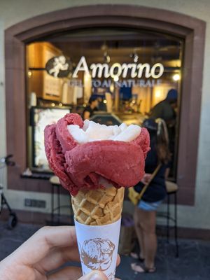 ice cream at Amorino in Strasbourg