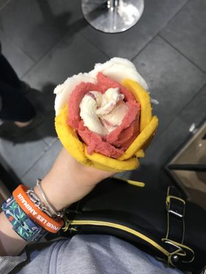 Tulip ice cream  at Amorino in Strasbourg