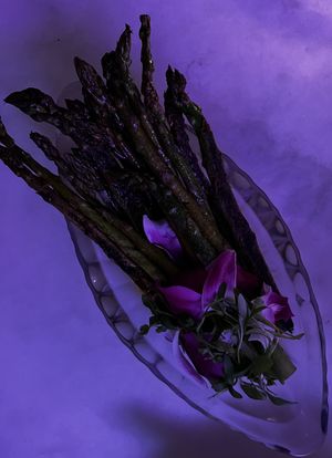   at Ladybird in New York City