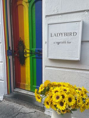  at Ladybird in New York City