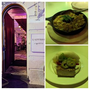  at Ladybird in New York City