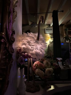 🦩  at Ladybird in New York City