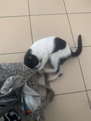   at Waroeng SA in Malang