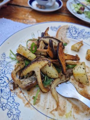 Mushroom & potato dish - highly recommend!   at A Venda in Faro