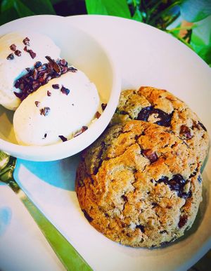   at True Food Kitchen in Palo Alto