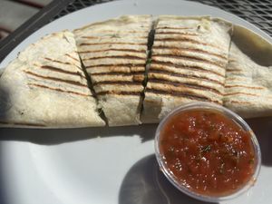 Vegan quesadillaas  at Aqus Cafe in Petaluma