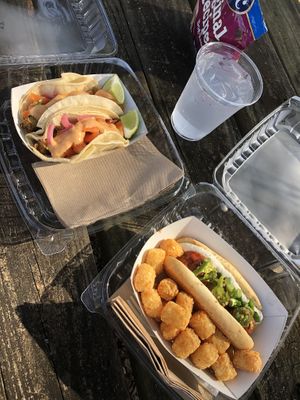 Tempeh tacos n “meatball” sub with tots at Curia on the Drag Food Truck in Gainesville