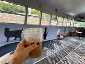 Lavender Soy Milk latte inside cat bus at Curia on the Drag Food Truck in Gainesville