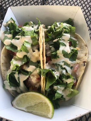 Street tacos at Curia on the Drag Food Truck in Gainesville