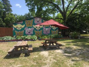 Outdoor eating at Curia on the Drag Food Truck in Gainesville