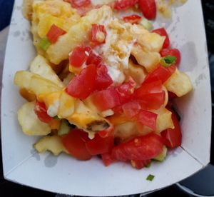 Loaded cheese fries at Curia on the Drag Food Truck in Gainesville