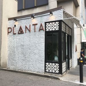 Planta at PLANTA - Yorkville in Toronto