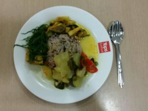 curry and rice at Ton-Phon - Robinson Asoke in Bangkok