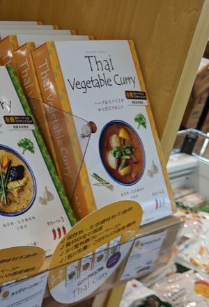 Thai vegetable curry (ベジタリアン仕様/for vegetarians, but ingredients look vegan) at Musubi Garden in Osaka