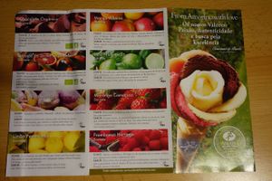 Vegan ice-cream at Amorino - Augusta in Lisbon