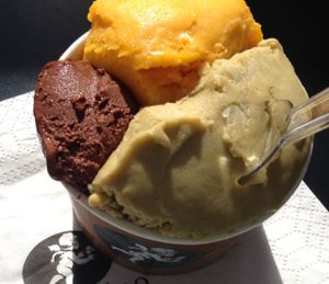 vegan icecream  at Amorino - Augusta in Lisbon