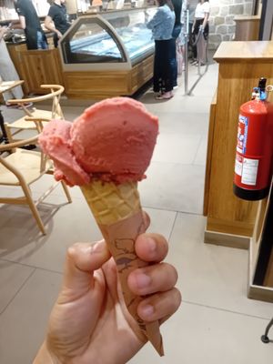 Vegan gelato at Amorino - Augusta in Lisbon
