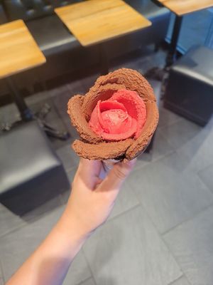  at Amorino - Catedral in Sevilla