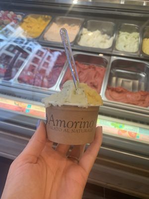 Lots of vegan options at Amorino - Mayor in Madrid