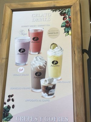 Vegan shake option   at Amorino - Guggenheim in Bilbao