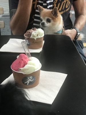 Raspberry + lime-basil at Amorino - Guggenheim in Bilbao