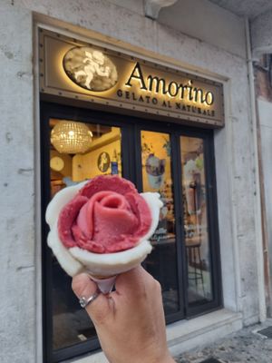 Sorbet flower and shop front at Amorino in Verona