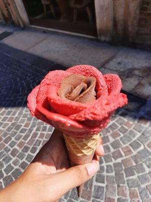Delicious icecream at Amorino in Verona